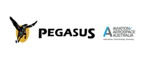 Pegasus Equity Crowdfunding Is Live On WeFunder