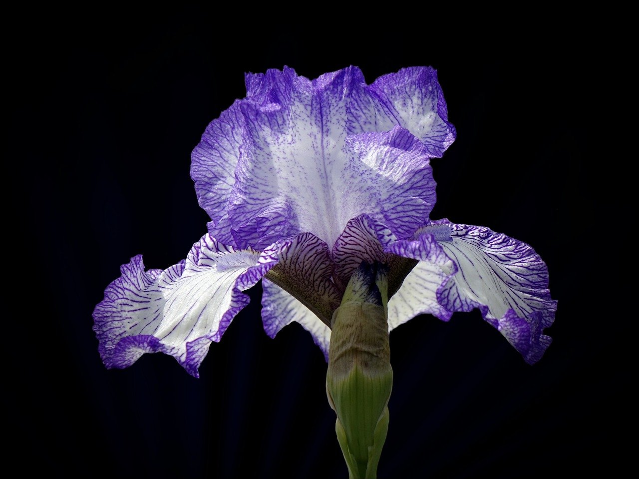 Most Funded On StartEngine For The Week Of July 4th