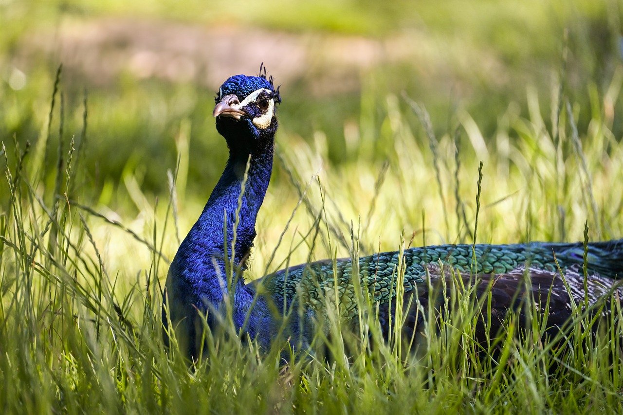 3 New Startup Crowdfunding Offerings To Check Out - Benzinga