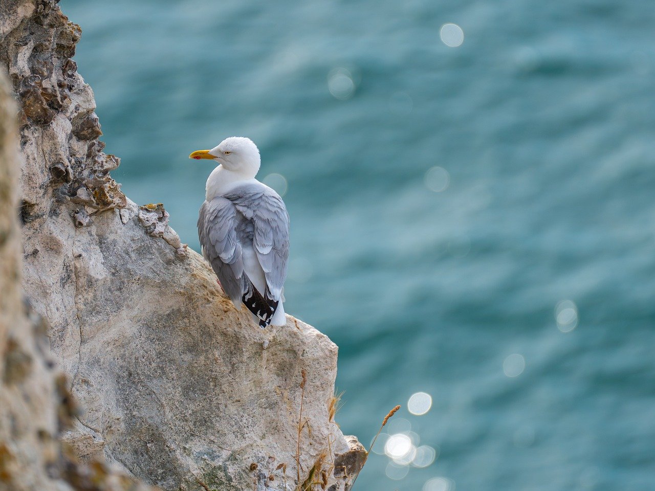 'Who Should We Acquire Next?' – Unphased by the Downturn, StartEngine ...