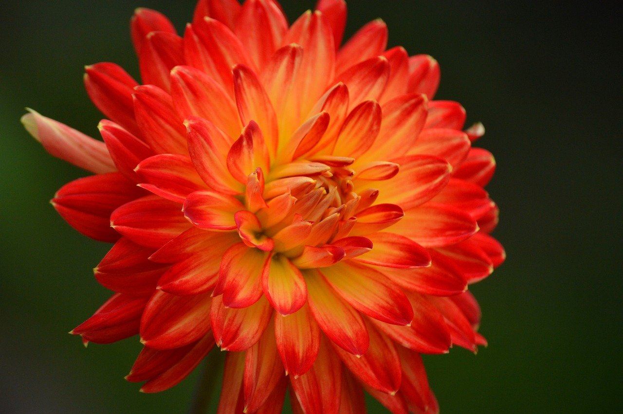 Fintech innovations are streamlining tech startup capital flows