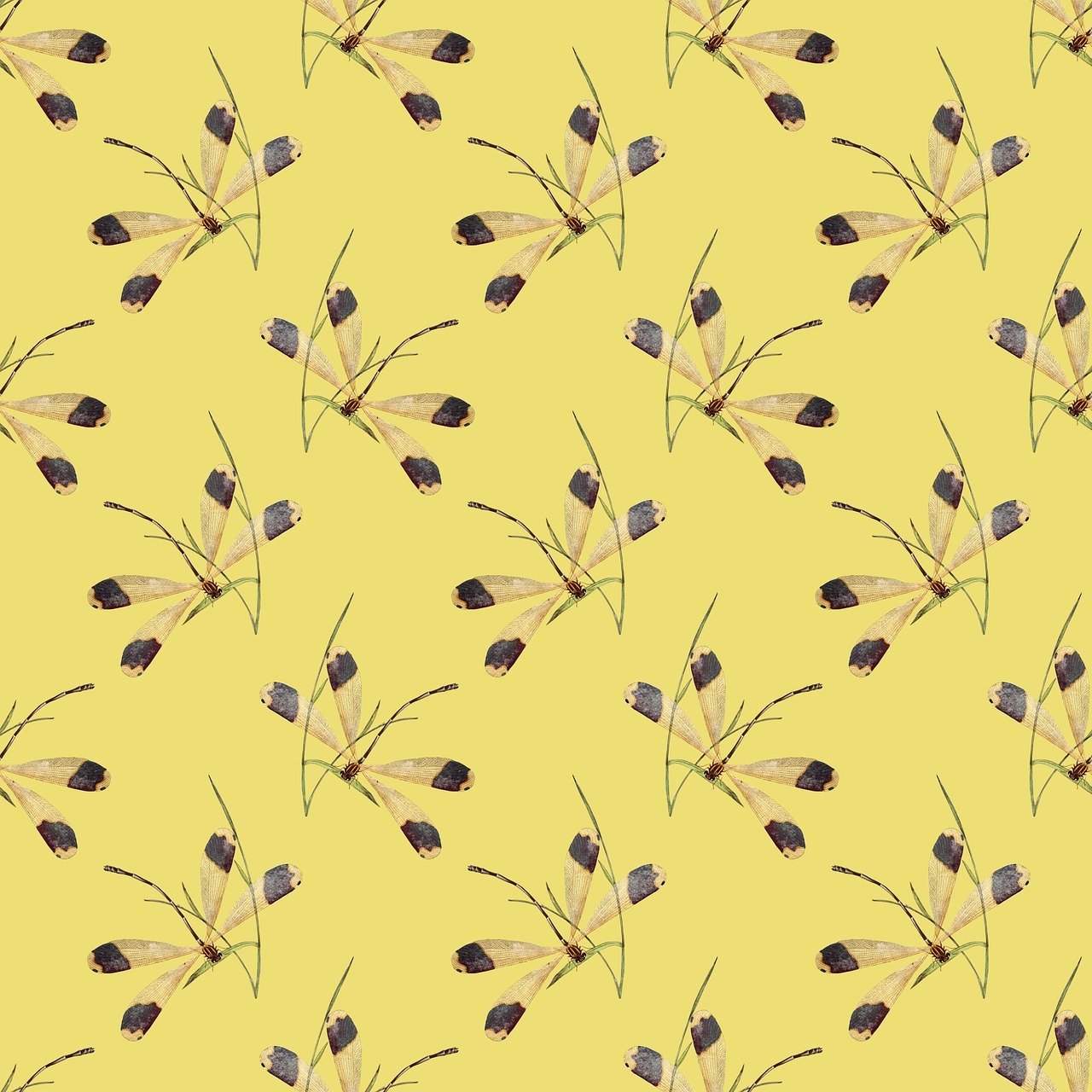 New to Real Estate Crowdfunding? Check Out These 3 Beginner Friendly ...