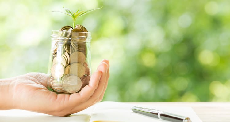 Structural Elements is crowdfunding on Republic.com