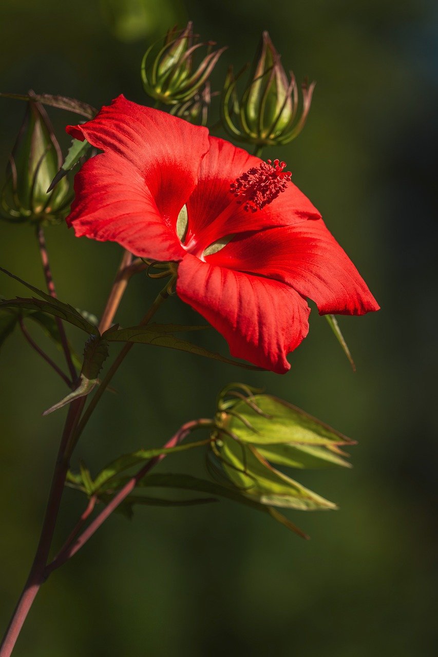 Crowd Funding Startup Aims to Help Entrepreneurs Get Financed