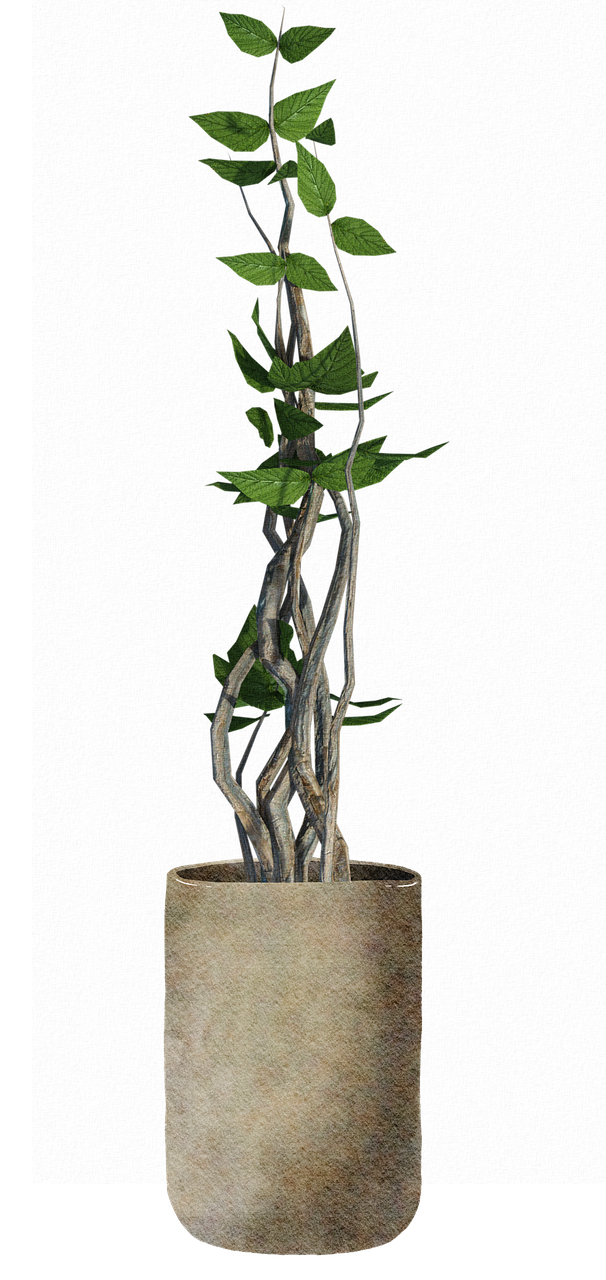 3 Most Popular Crowdfunding Campaigns On StartEngine This Week