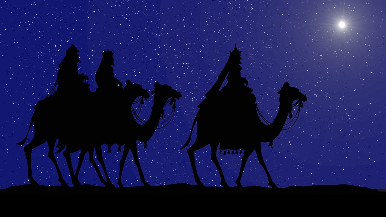 Monogram Orthopaedics Raises Over $16 Million on StartEngine – Offering Closing Soon