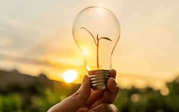 Sustainable Startups Finding More Than Cash on Crowdfunding Platforms