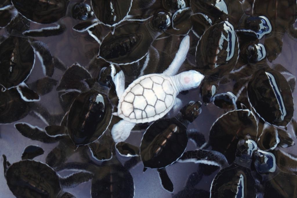 6 Ways to Use Crowdfunding for Product Development