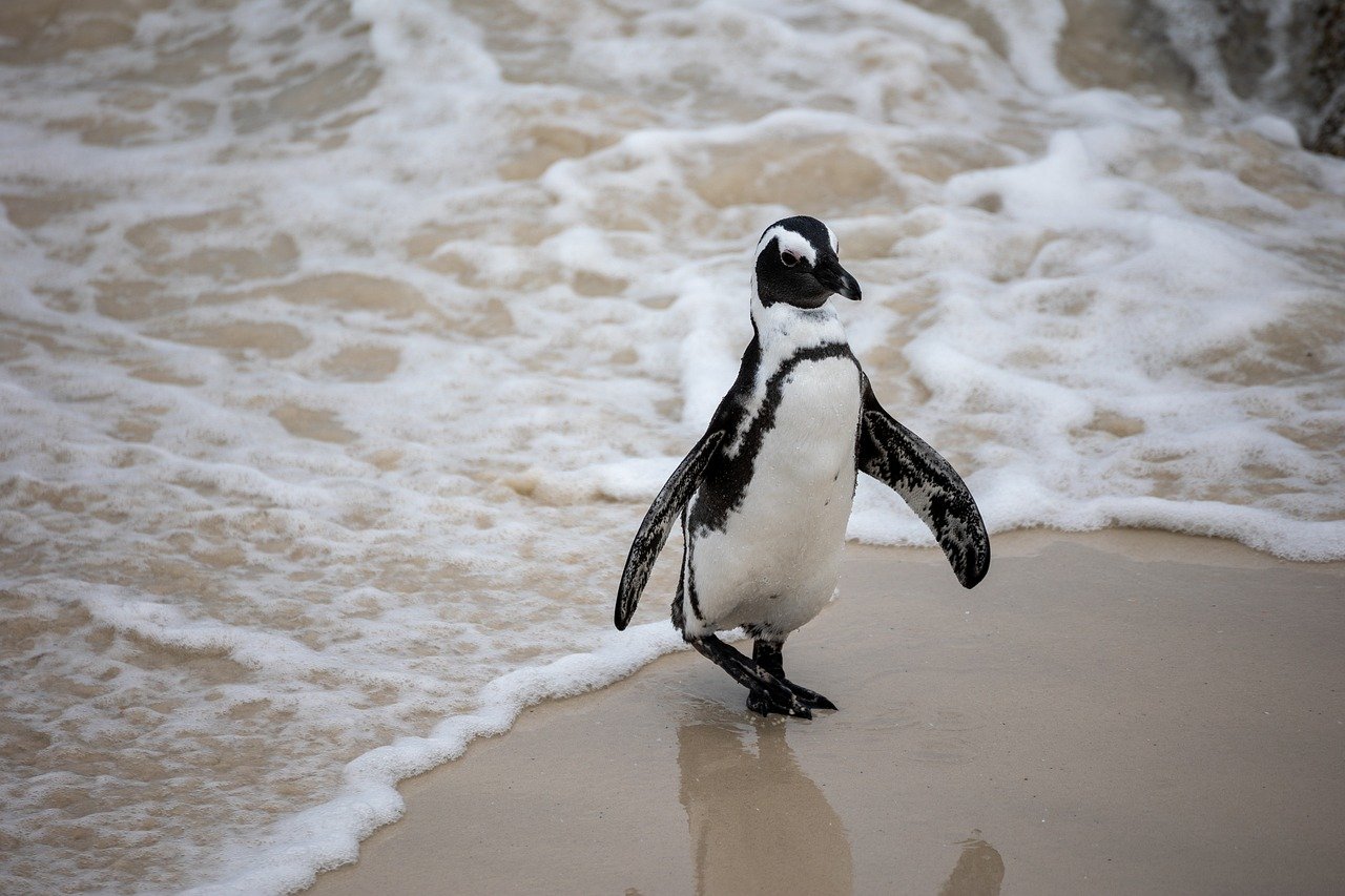 Iconic Supercar Shop Saleen Automotive Seeking StartEngine Investment To Produce The Saleen S1 Racetrack-Inspired Supercar