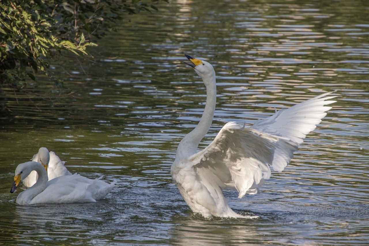 $1000 Invested in StartEngine