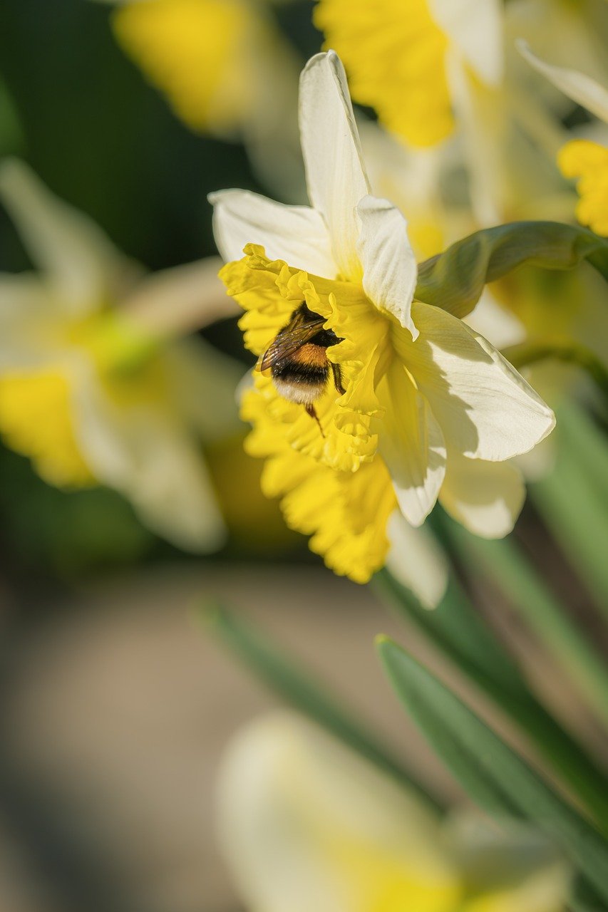 8 Steps to Launching a Successful Crowdfunding Campaign